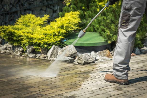 Best Gutter Cleaning  in Timpson, TX