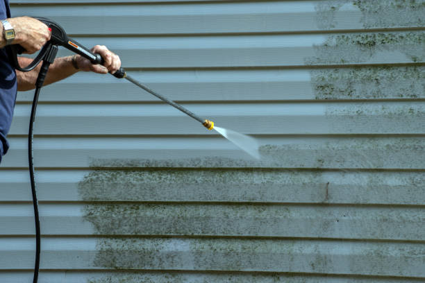 Best Gutter Cleaning  in Timpson, TX